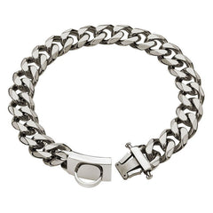 Stainless Steel Dog Leash and Collar for Medium/Large Dogs